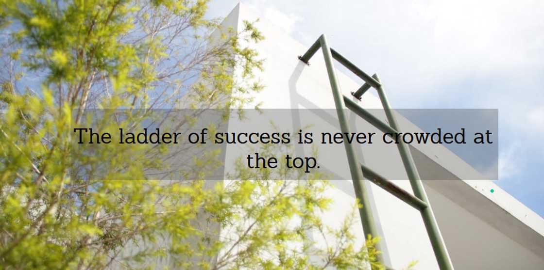 wise sayings about life wise sayings about life