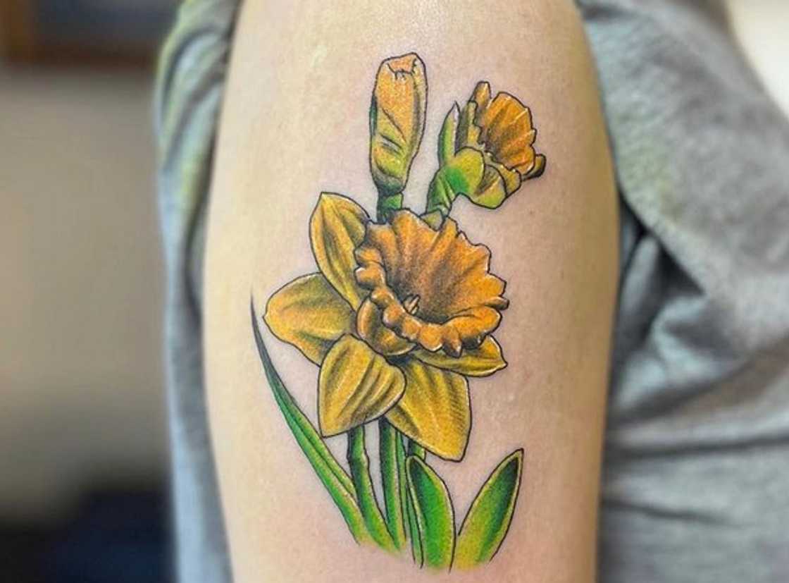 The daffodil tattoo The daffodil tattoo