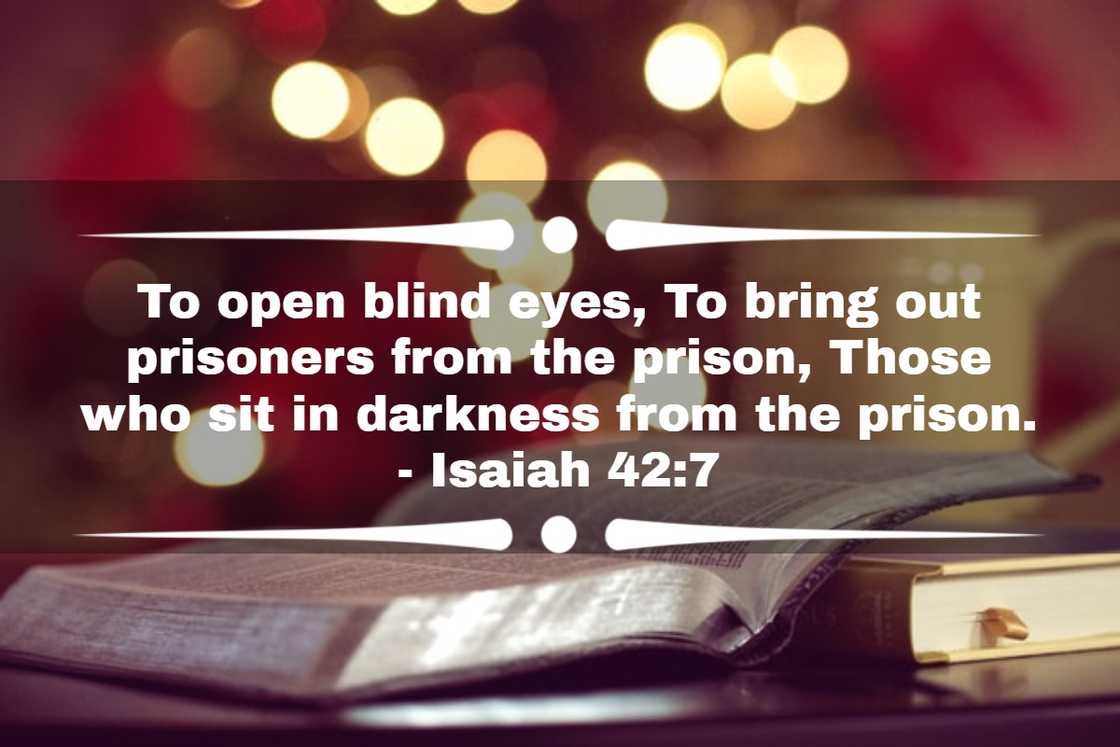 Bible verses about freedom Bible verses about freedom