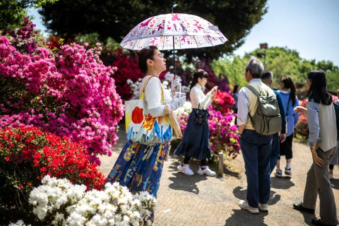 A recent poll by major travel agency JTB showed 20.9 percent of its respondents will or 'probably' will go on a trip during Golden Week, down 5.6 percent from last year A recent poll by major travel agency JTB showed 20.9 percent of its respondents will or 'probably' will go on a trip during Golden Week, down 5.6 percent from last year
