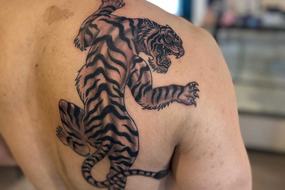 A man has a tiger tattoo on his right shoulder A man has a tiger tattoo on his right shoulder