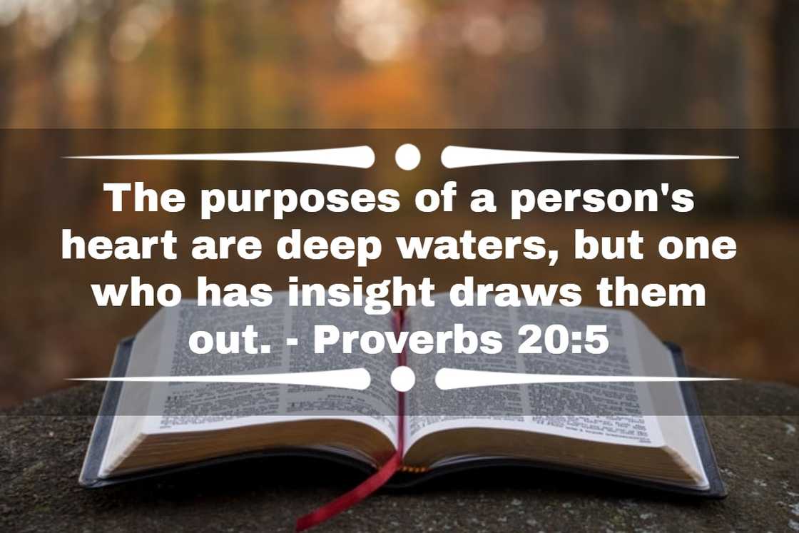 Bible verses about living life with purpose