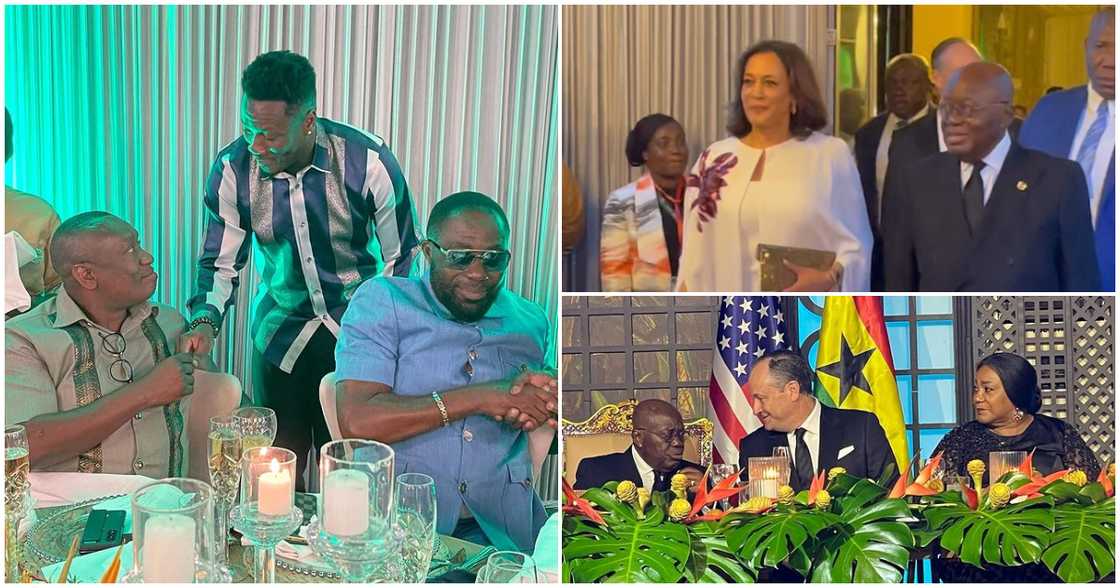 Asamoah Gyan Despite at Kamala Harris state dinner