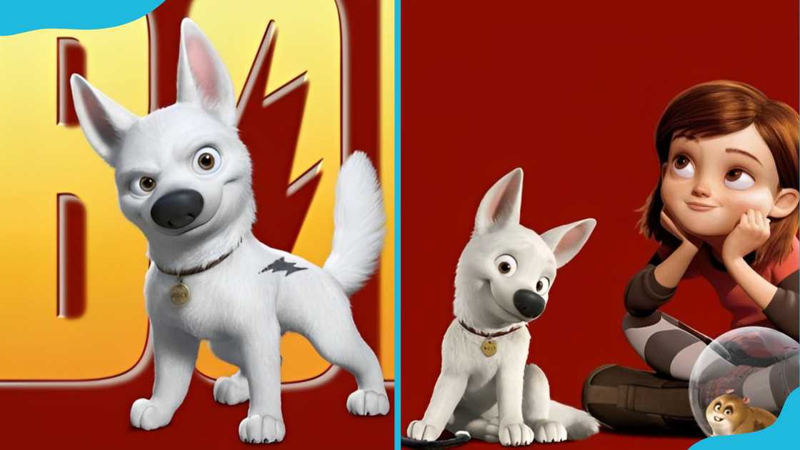 Bolt from "Bolt." Bolt from "Bolt."