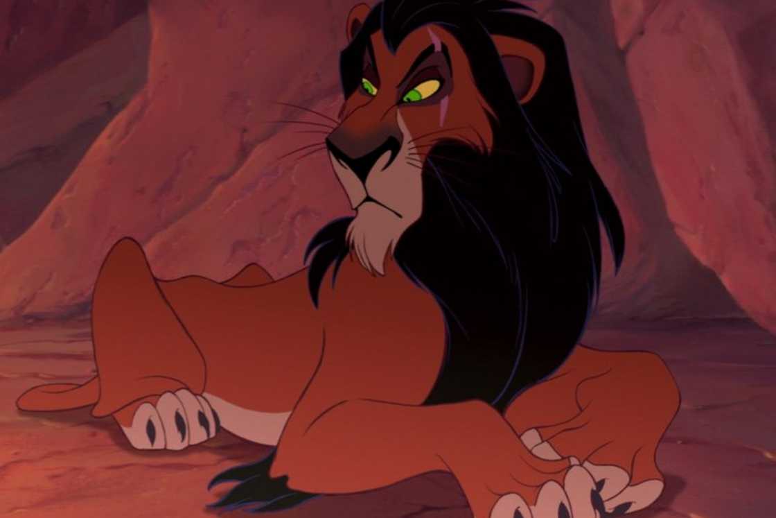 Kovu is lying on the ground Kovu is lying on the ground