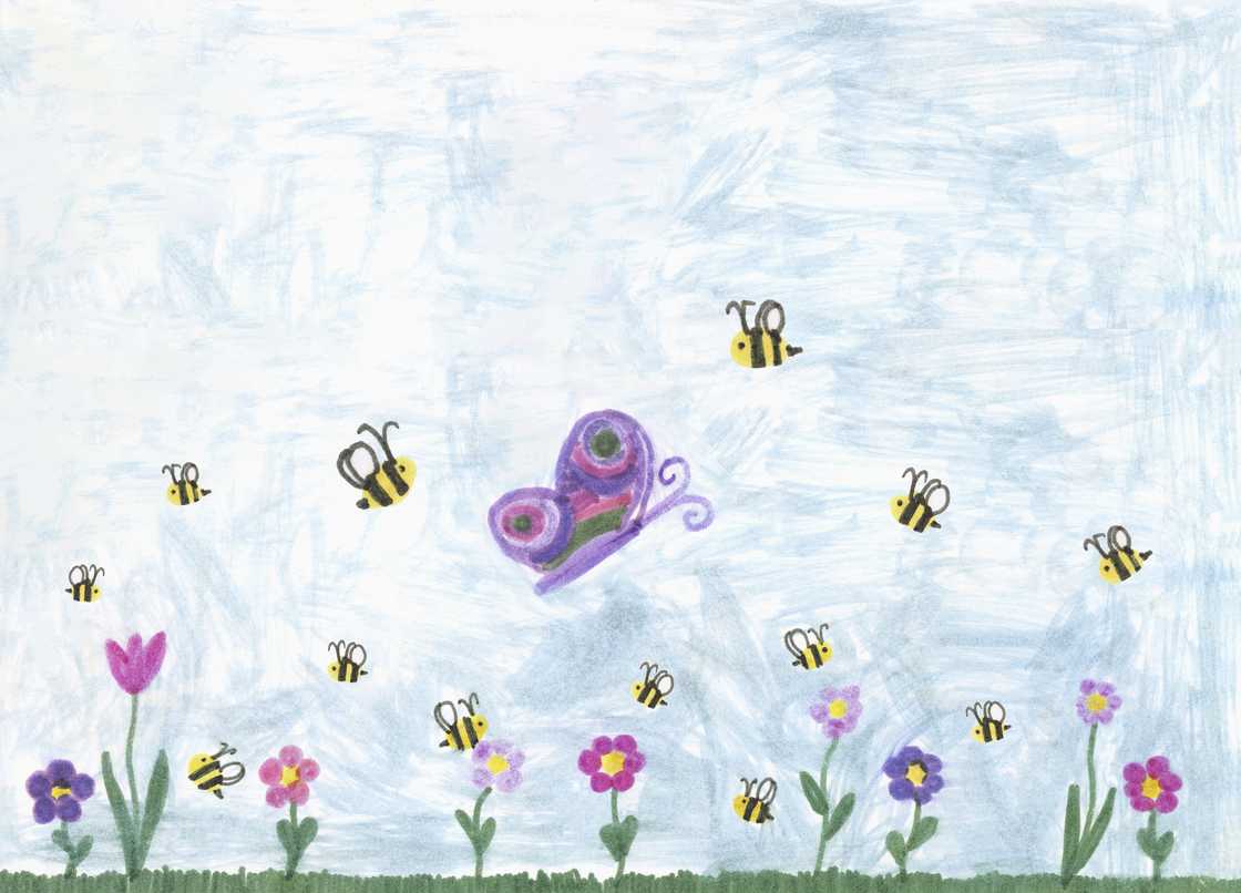 A drawing of a butterfly and bees in a garden A drawing of a butterfly and bees in a garden