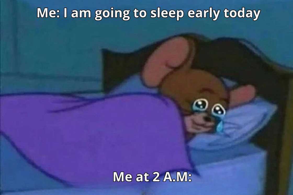 funny memes about life funny memes about life