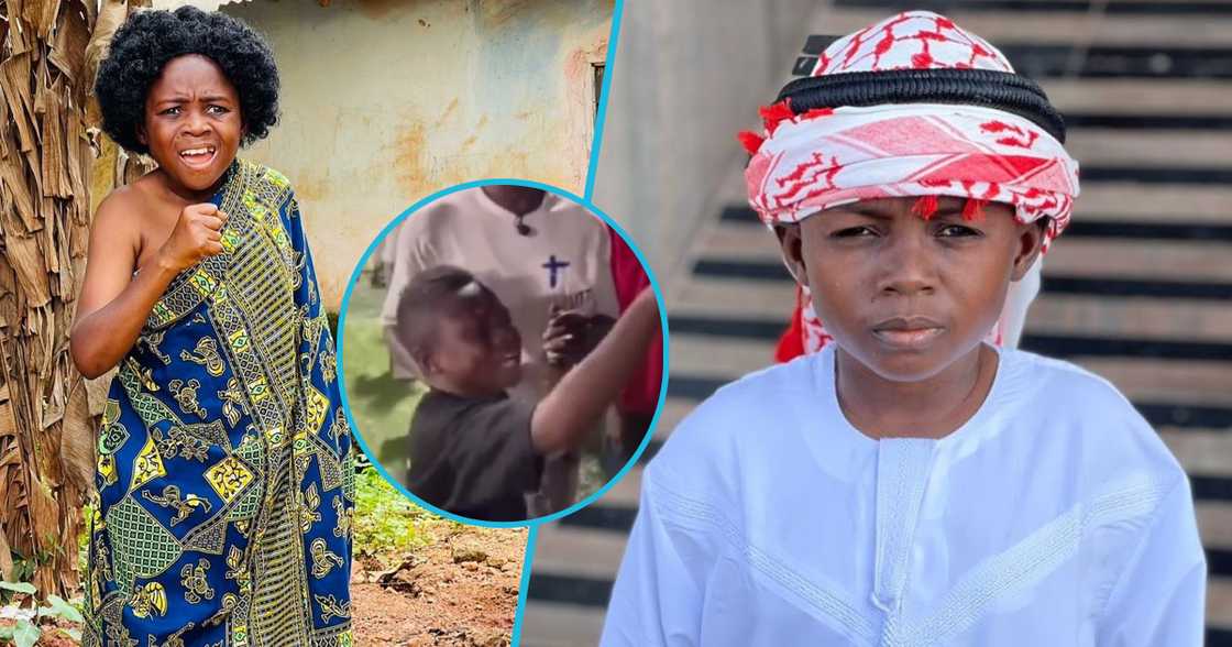 Dabo fight Dabo fight