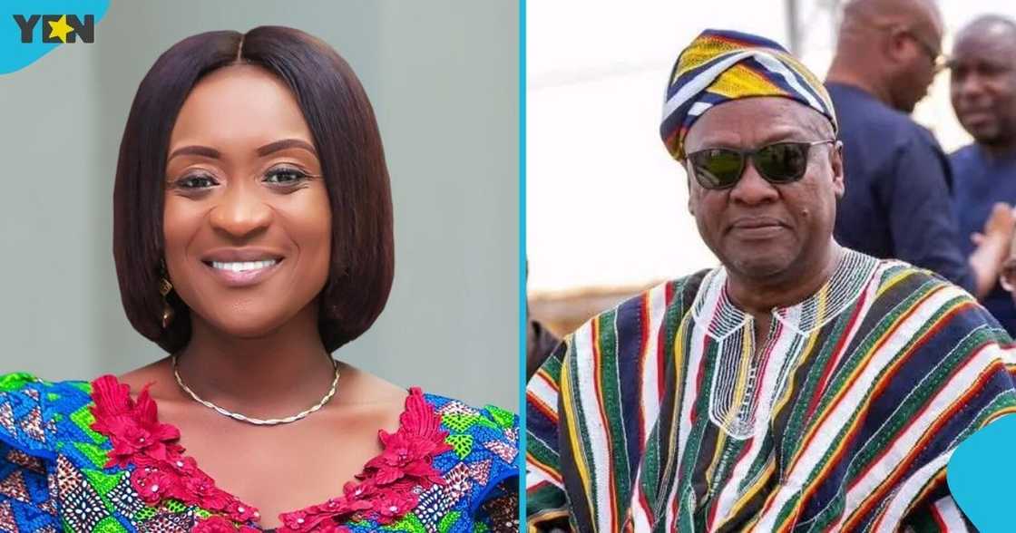 Former Deputy Finance Minister, Atiwa East Member of Parliament, Abena Osei-Asare, President John Dramani Mahama, acknowledge petition, New Patriotic Party, NPP, street demonstration in Accra.
