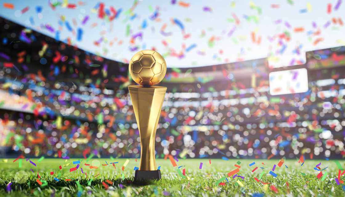 Which FIFA World Cup winner was the most unlikely Which FIFA World Cup winner was the most unlikely