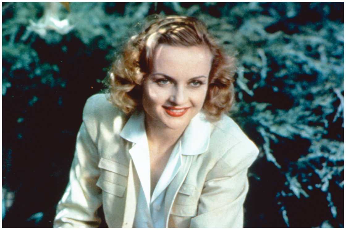 Lombard dressed in shorts. Lombard dressed in shorts.