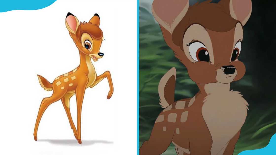 Bambi Bambi