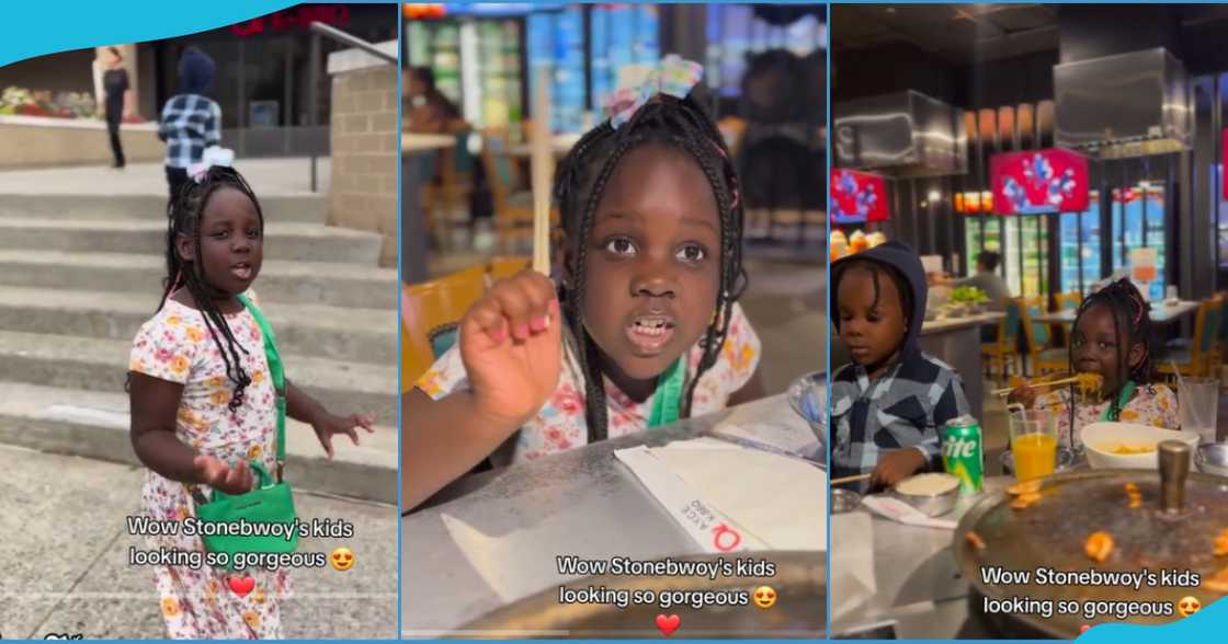 Stonebwoy's kids in photos