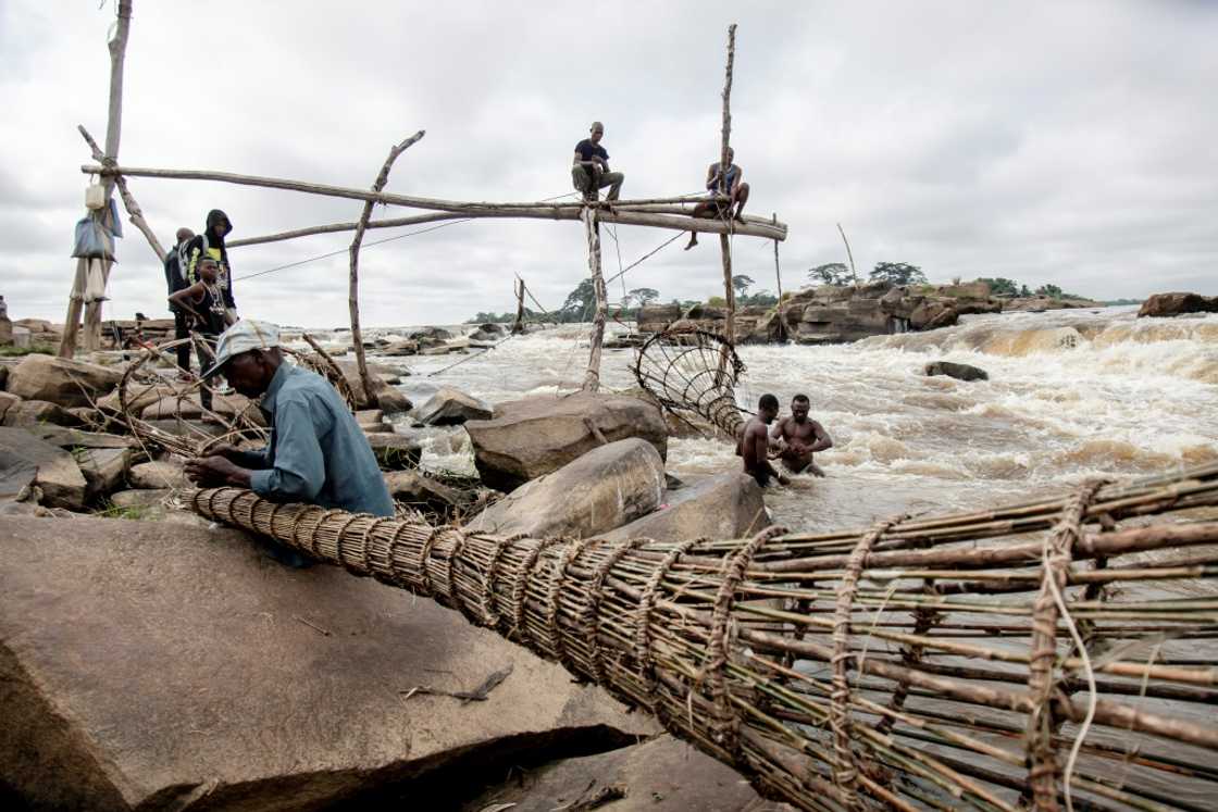 Fishermen perch on wooden scaffolds at the Wagenya Falls in ortheastern DR Congo Fishermen perch on wooden scaffolds at the Wagenya Falls in ortheastern DR Congo