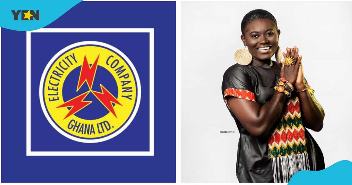 Afua Asantewaa pleads with ECG