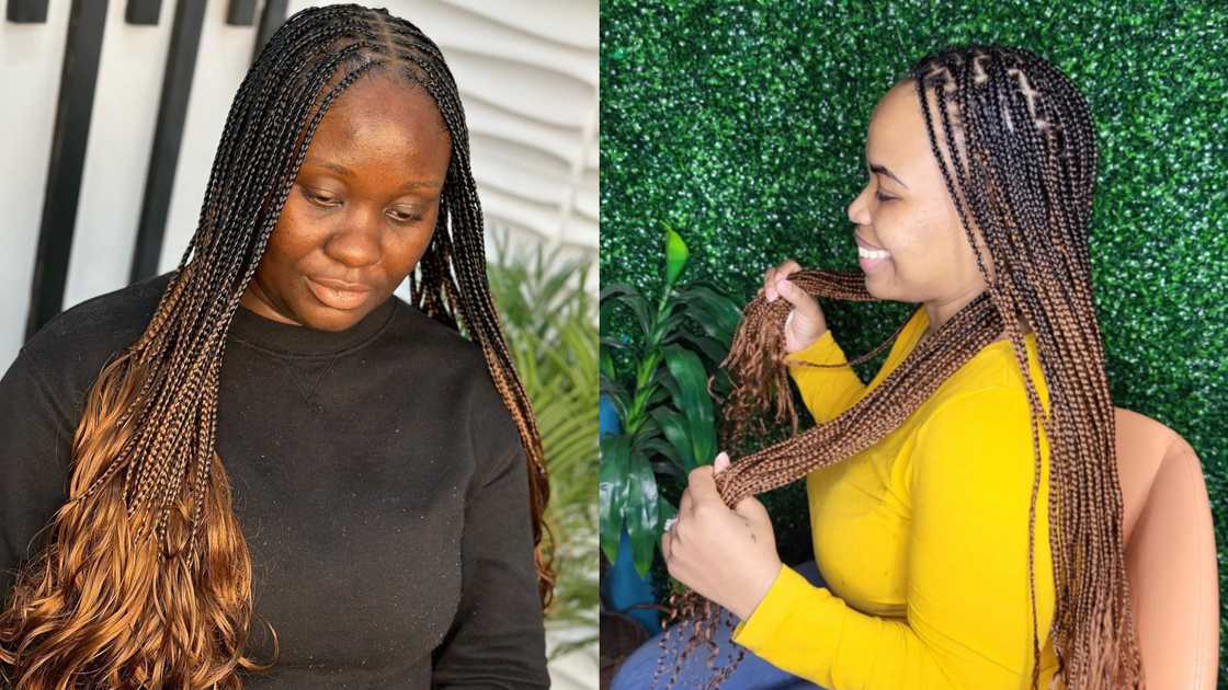 rasta braids rasta braids