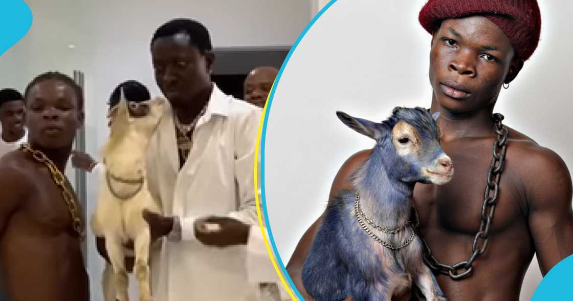 Michael Blackson meets AY Poyoo's goat for the first time, his reaction has peeps laughing Michael Blackson meets AY Poyoo's goat for the first time, his reaction has peeps laughing