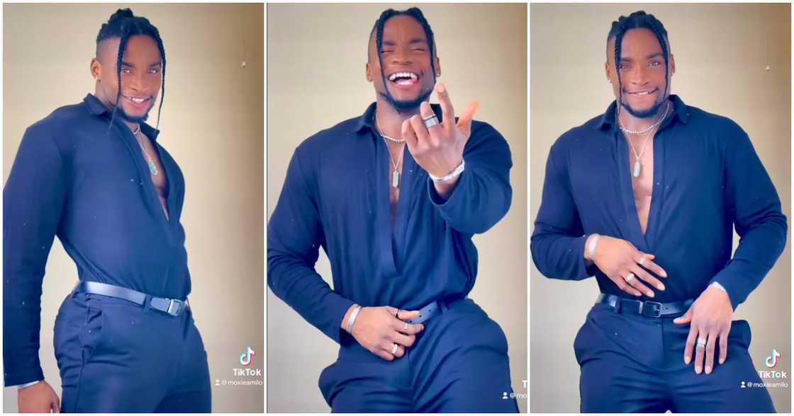 Photos of Amilomoxie. Photos of Amilomoxie.