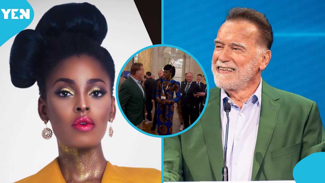 Vica Michaels, Ghana, Schwarzenegger, Austria, Tony Blair