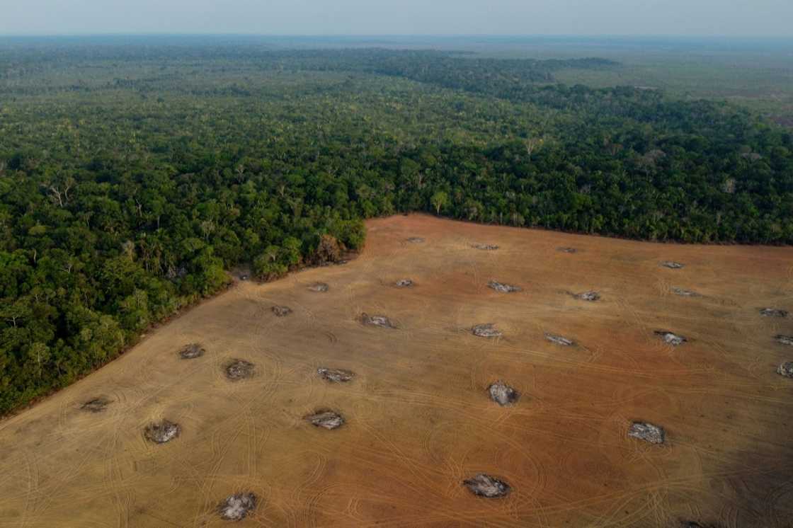 Deforestation in Brazil's Amazon rainforest increased 75 percent under far-right President Jair Bolsonaro Deforestation in Brazil's Amazon rainforest increased 75 percent under far-right President Jair Bolsonaro
