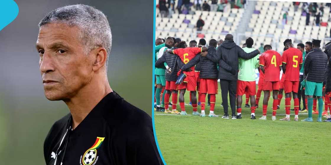 Chris Hughton Chris Hughton