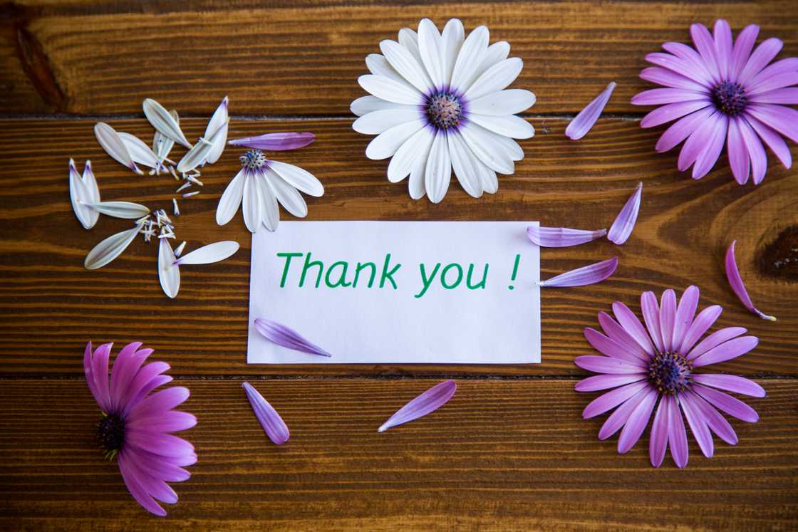 Personalised thank you notes Personalised thank you notes