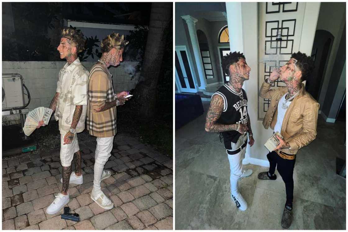 Island boys' net worth Island boys' net worth