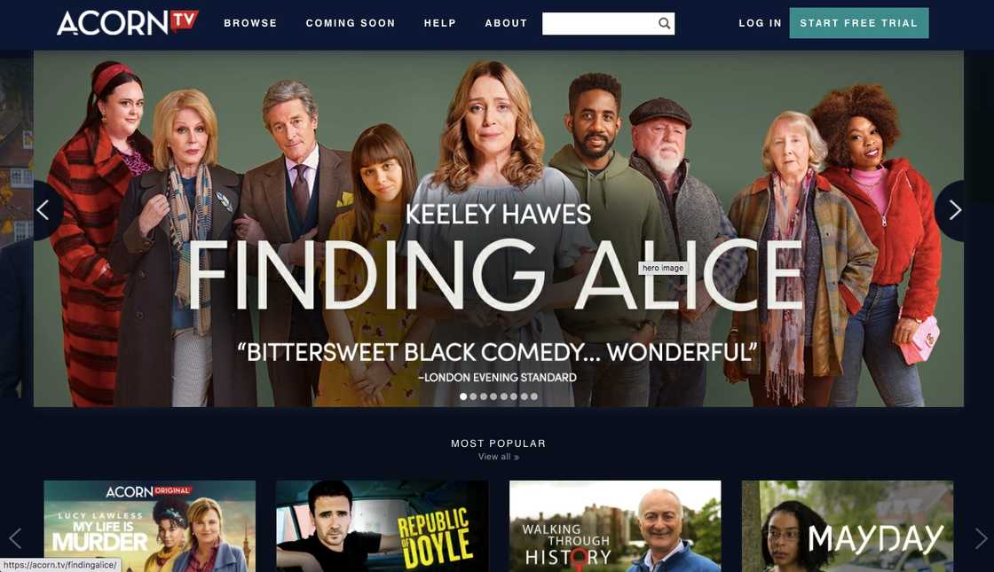 Netflix alternative Netflix alternative