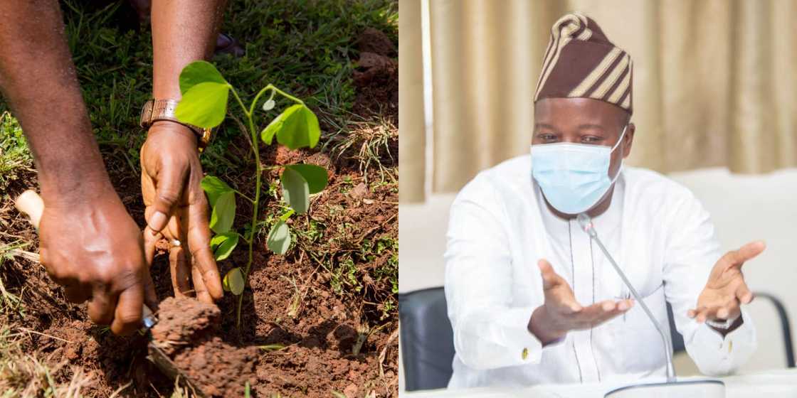 NDC MPs didn’t boycott vetting of Mensah Korsah - Mahama Ayariga NDC MPs didn’t boycott vetting of Mensah Korsah - Mahama Ayariga