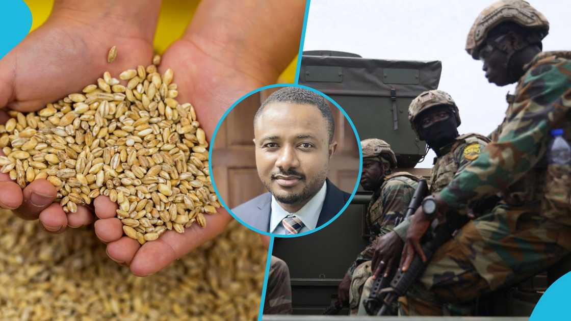 Adib Saani Backs Security Deployment By The Government To Curb Smuggling Of Grains From Ghana To Neighbouring Countries Adib Saani Backs Security Deployment By The Government To Curb Smuggling Of Grains From Ghana To Neighbouring Countries