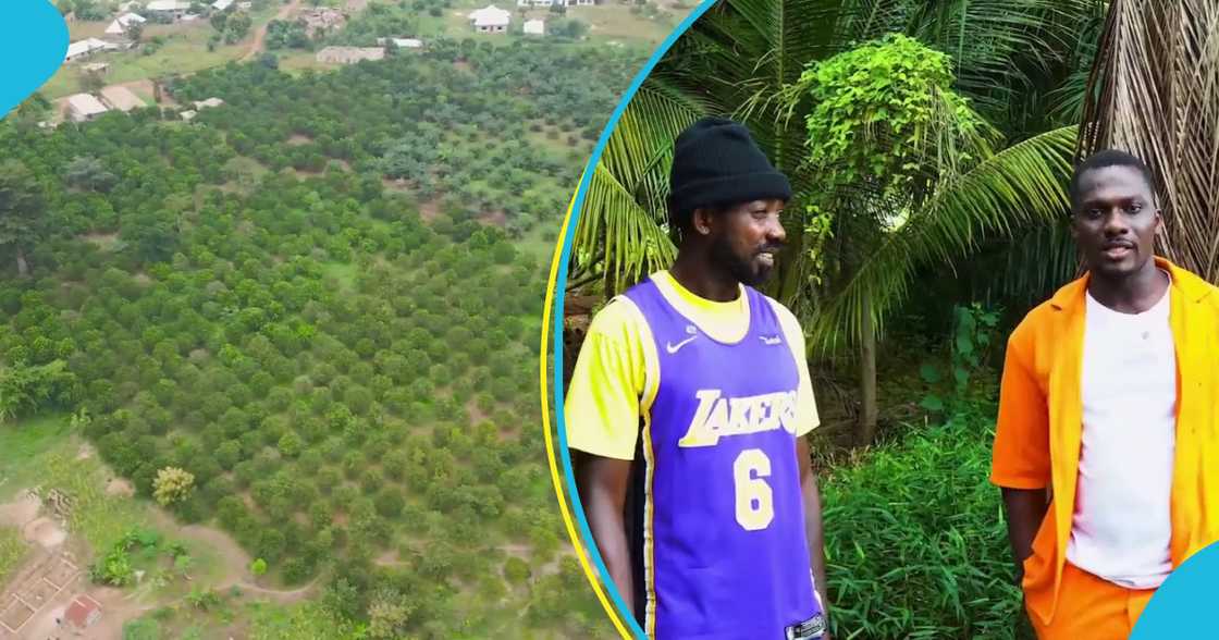 Rapper Kooko shows off farms Rapper Kooko shows off farms