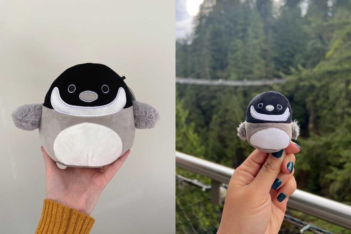 Gertrude the Goose is being lifted by two ladies hands Gertrude the Goose is being lifted by two ladies hands