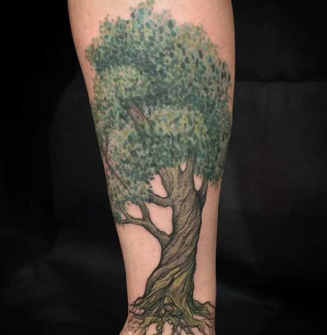 tree of life tattoos images tree of life tattoos images
