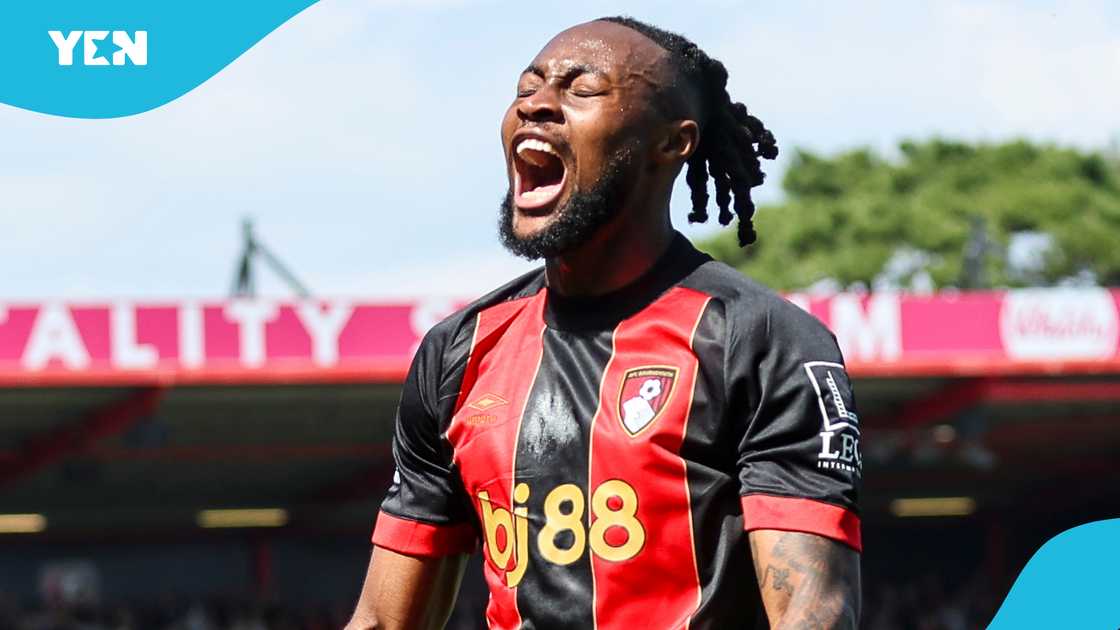 AFC Bournemouth, Antoine Semenyo, celebrate, passion, scoring, Manchester United, Premier League. AFC Bournemouth, Antoine Semenyo, celebrate, passion, scoring, Manchester United, Premier League.