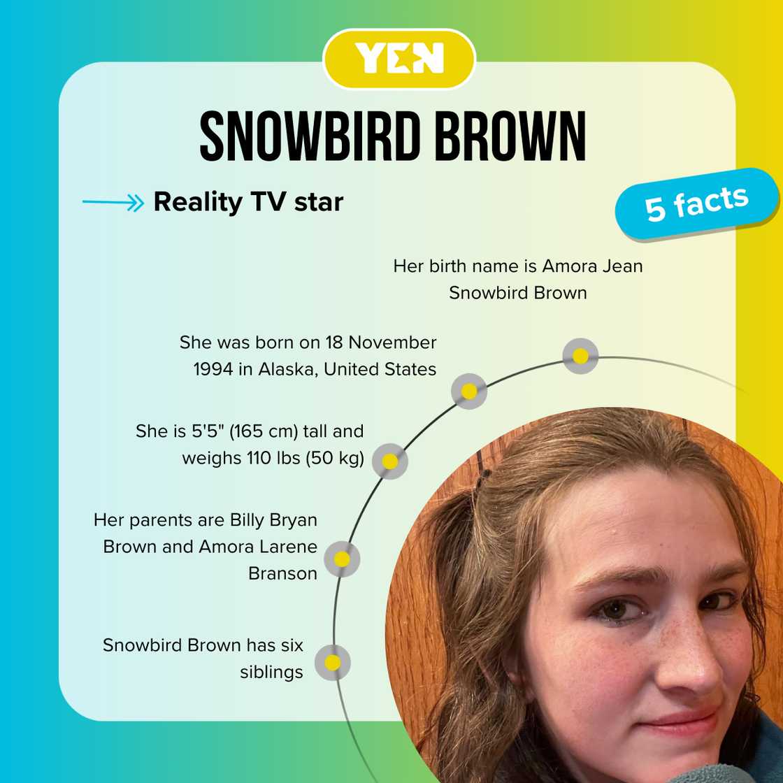 Five facts about Snowbird Brown