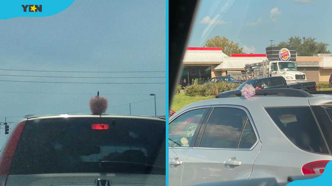 Grey cars in traffic with purple loofahs.