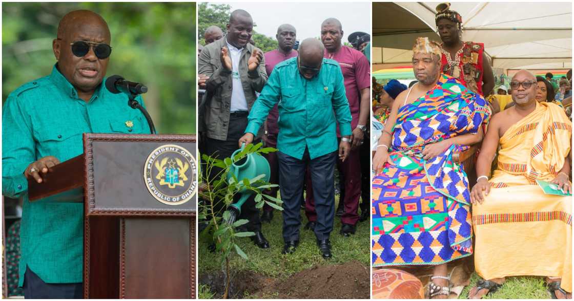 Akufo-Addo, Ga Mantse, and other dignitaries.