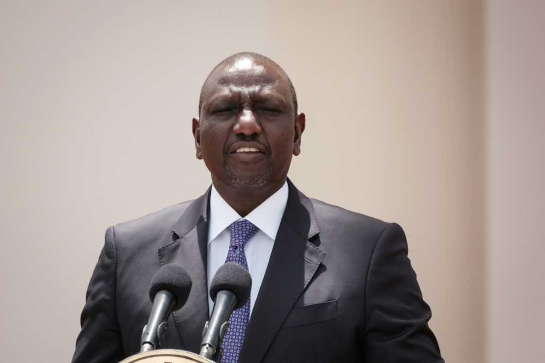 Kenya's President William Ruto says an African position on climate action would be to 'save lives and the planet from calamity' Kenya's President William Ruto says an African position on climate action would be to 'save lives and the planet from calamity'