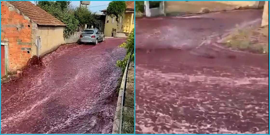 River of wine flowing on a street in Portugal