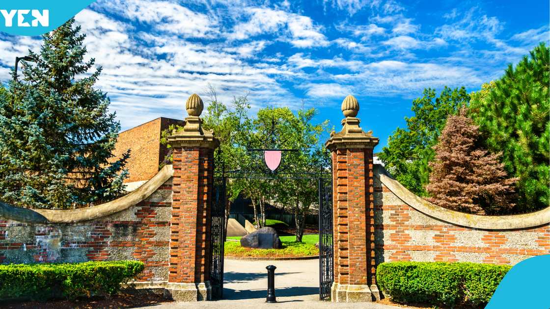 Harvard University, Ghana, Student, Admission, Level 100, School