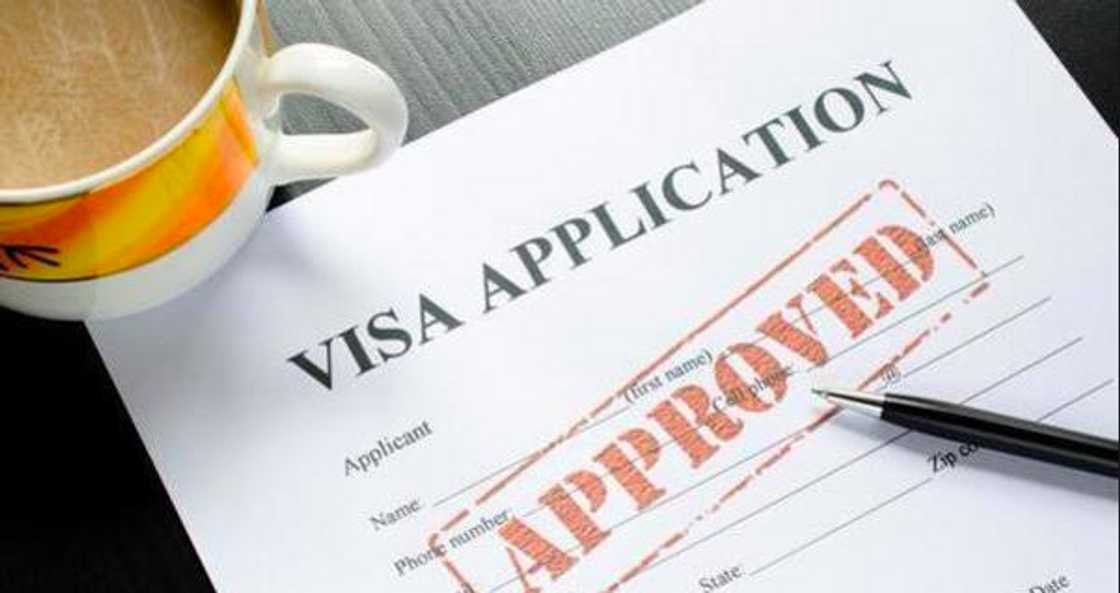 UK visa, Ghana visa applicants, UK Foreign Office, Sara Pownall, visa fraud, bank statements, UK travel, Ghana travel news, visa application, immigration checks, document verification, UK immigration, Ghanaian travellers, visa ban