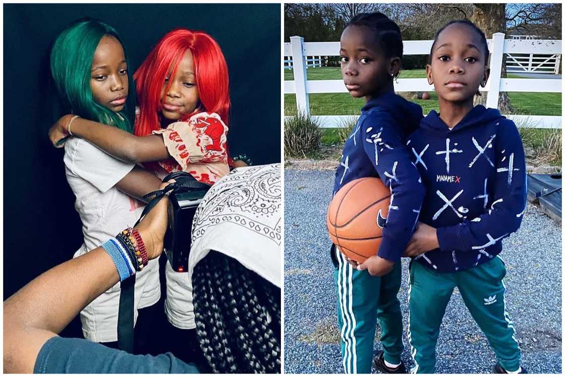 Stelle Ciccone Stelle Ciccone