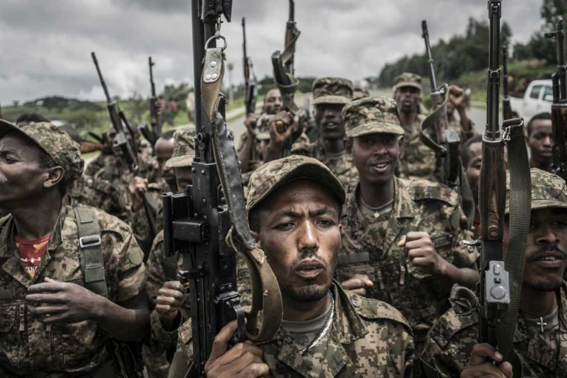 Ethiopian soldiers (pictured) have been helped out on the battlefield by the Eritrean army and regional forces Ethiopian soldiers (pictured) have been helped out on the battlefield by the Eritrean army and regional forces