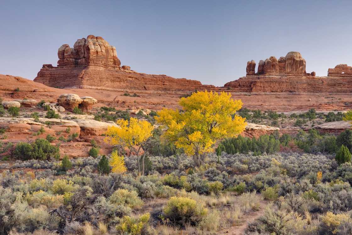 driest state in the US