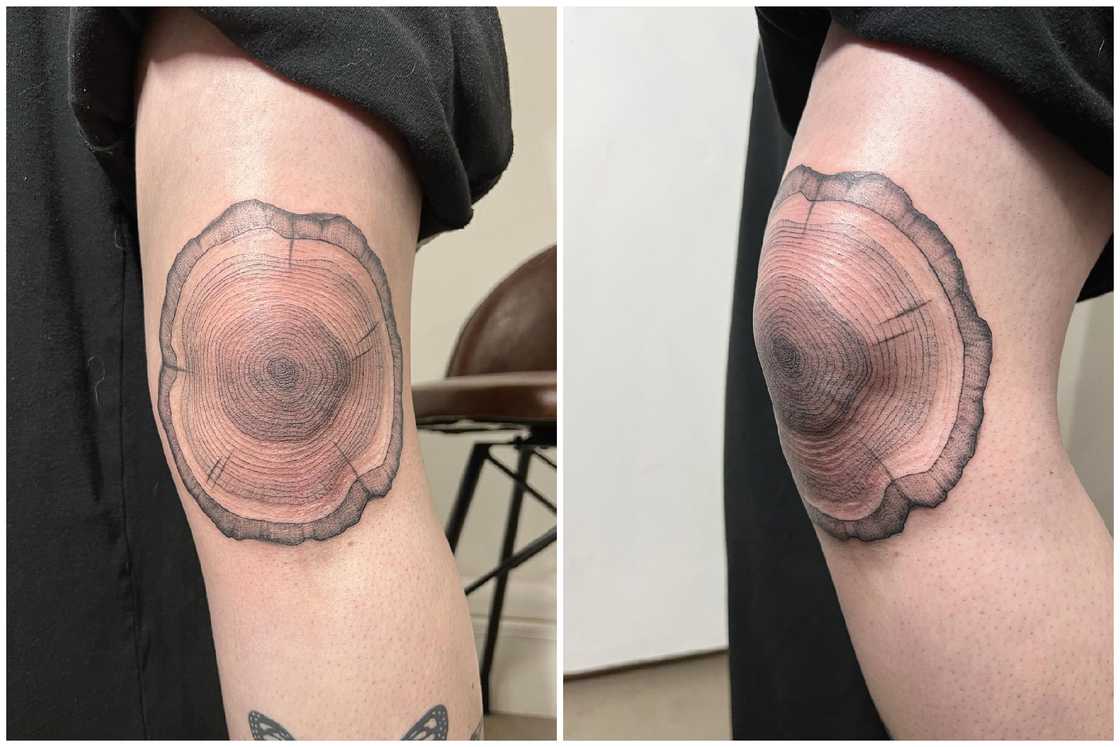 tattoos that represent growth tattoos that represent growth