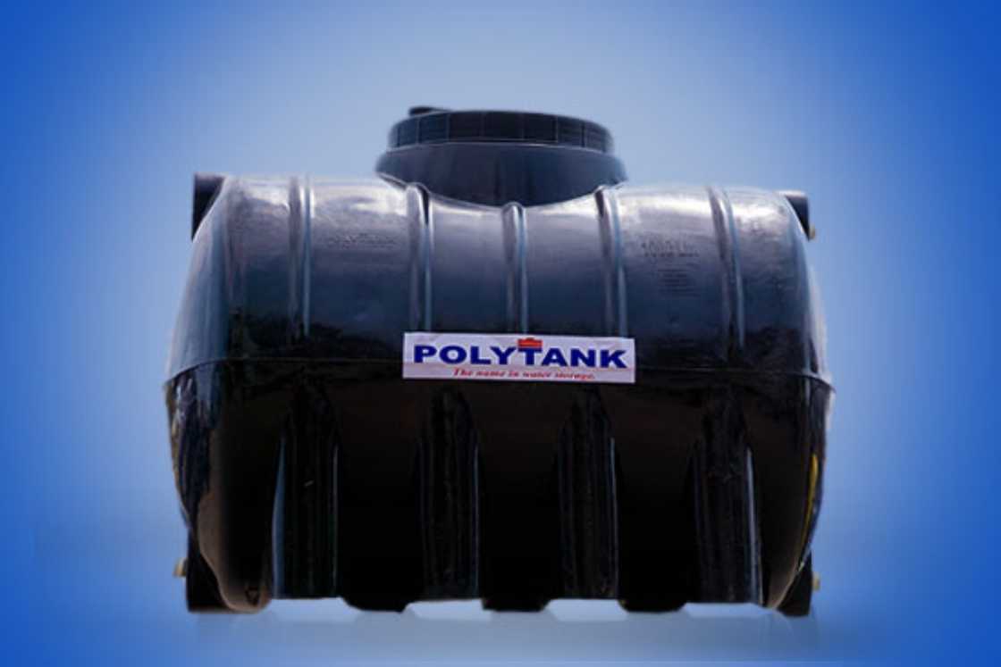 Hippo series Hippo series