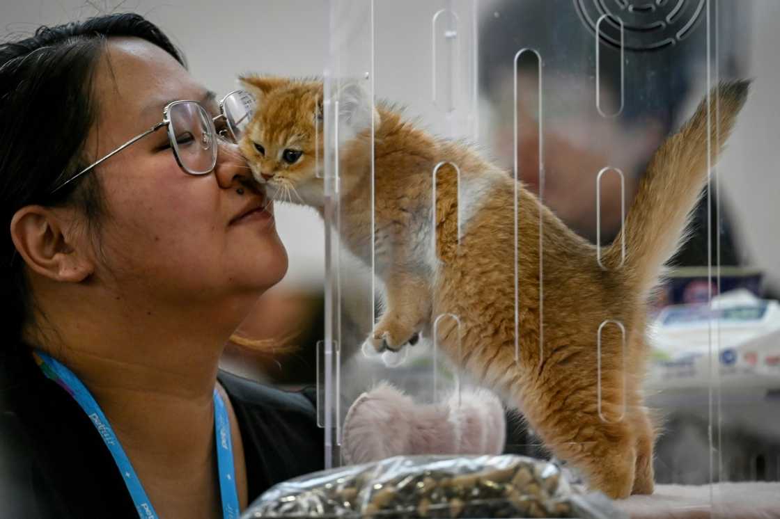 China's pet industry is flourishing, even as low consumption is plaguing the world's second-biggest economy China's pet industry is flourishing, even as low consumption is plaguing the world's second-biggest economy