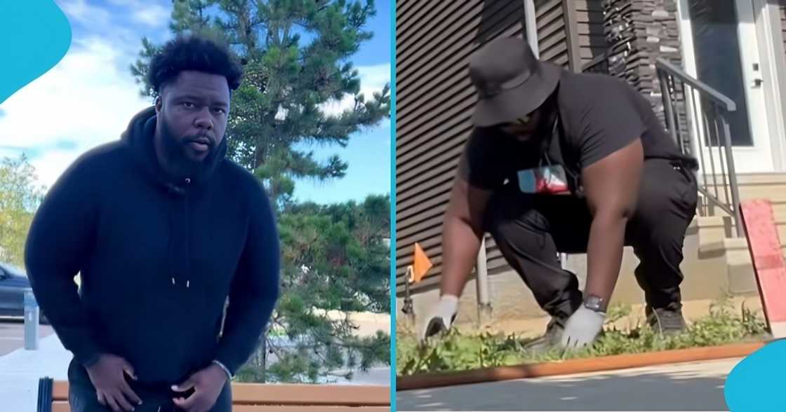 Henry Gordon, canada, tech bro, project manager, gardener, ghana, canada relocation Henry Gordon, canada, tech bro, project manager, gardener, ghana, canada relocation