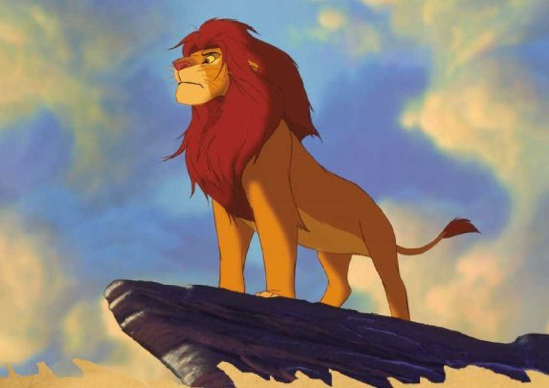 Simba is standing on a suspended rock Simba is standing on a suspended rock