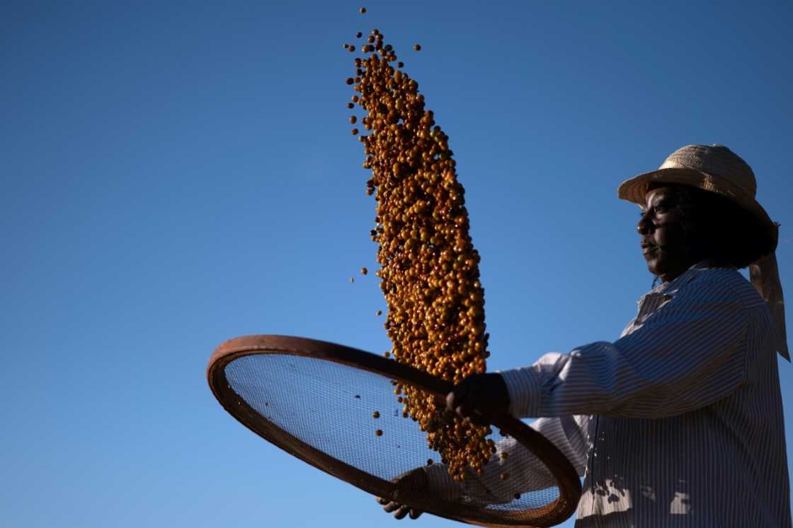 Many in Brazil still associate coffee production with slavery